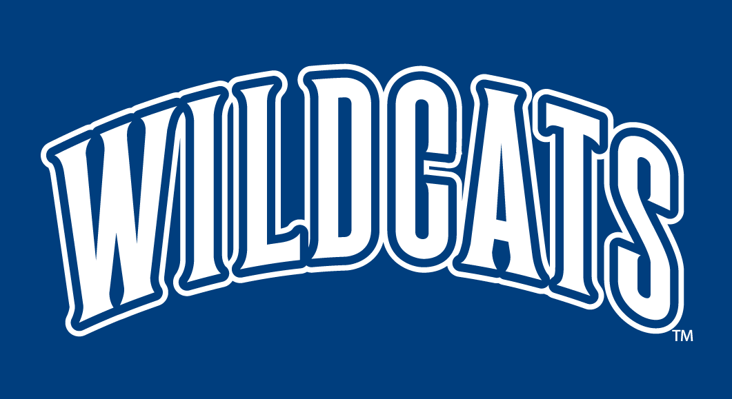 Villanova Wildcats 1996-Pres Wordmark Logo 01 iron on paper